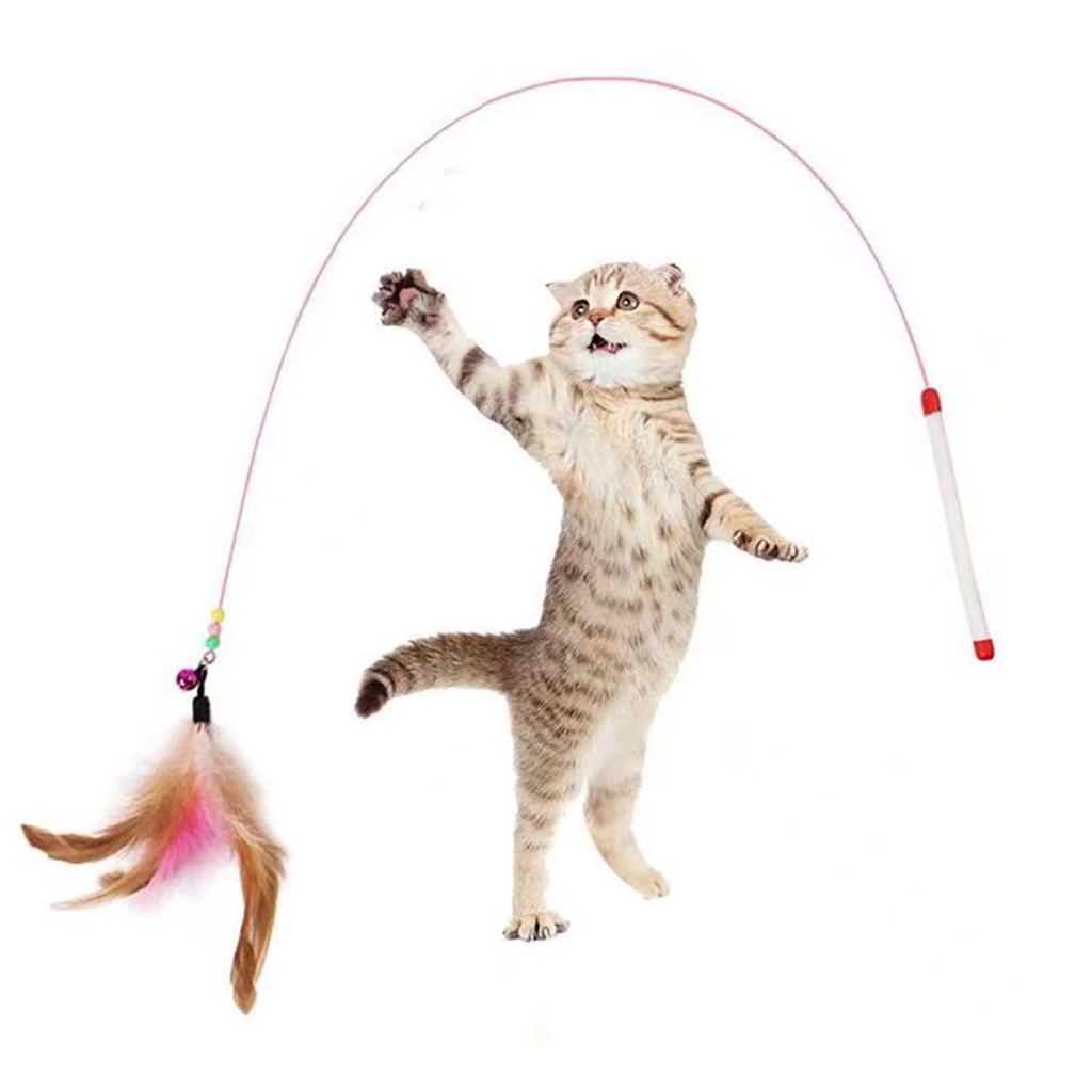 Đồ Chơi Cần Câu Mèo Con Gắn Lông Vũ Dây Thép Tự Chơi Giá Rẻ Chó Tam Thể Thú Cưng Nhỏ Play Together Tại Nhà Thông Minh