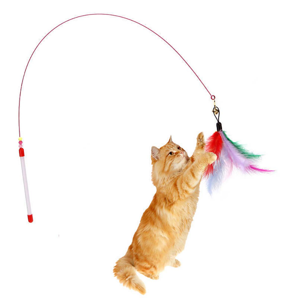 Đồ Chơi Cần Câu Mèo Con Gắn Lông Vũ Dây Thép Tự Chơi Giá Rẻ Chó Tam Thể Thú Cưng Nhỏ Play Together Tại Nhà Thông Minh