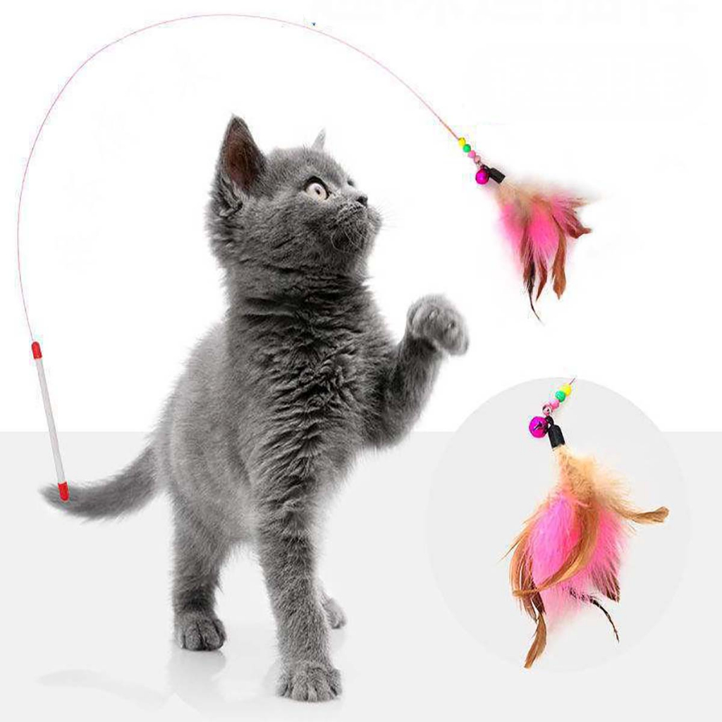 Đồ Chơi Cần Câu Mèo Con Gắn Lông Vũ Dây Thép Tự Chơi Giá Rẻ Chó Tam Thể Thú Cưng Nhỏ Play Together Tại Nhà Thông Minh
