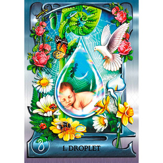 Bộ Bài Water Alchemy Oracle (Mystic House Tarot Shop) - Bài Gốc Authentic Chính Hãng 100%