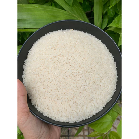 1Kg gạo Đài Thơm 8 nấu cơm dẻo thơm ( gạo nhà làm tự nhiên Gạo còn Cám) nhe ạ
