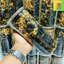 Rong Biển Cháy Tỏi loại ngon lon 200gram