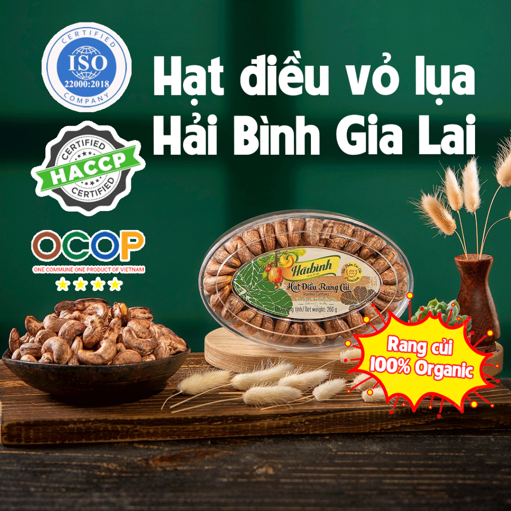 260g Hạt điều rang muối Gia Lai Organic công nghệ rang củi tự nhiên hộp Oval  - Hải Bình Gia Lai