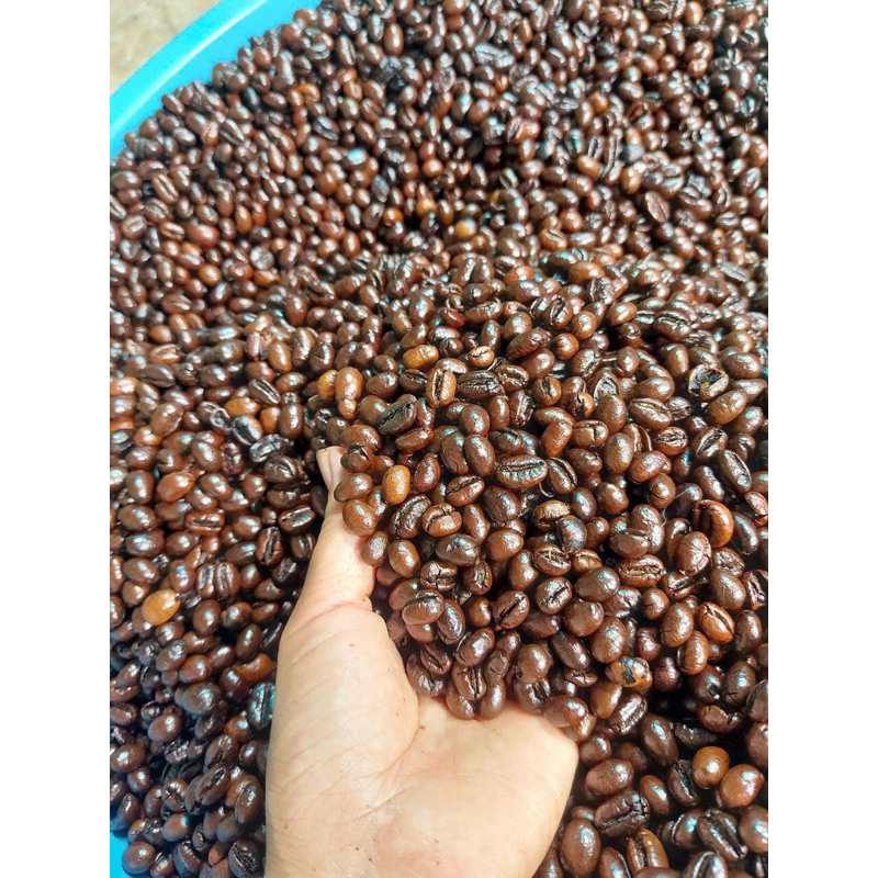 1kg Cà phê giá SỈ Bột 3 Loại Hạt 20%Arabica 40%Robusta 40%Culi (rang bơ )nguyên chất 100% pha phin