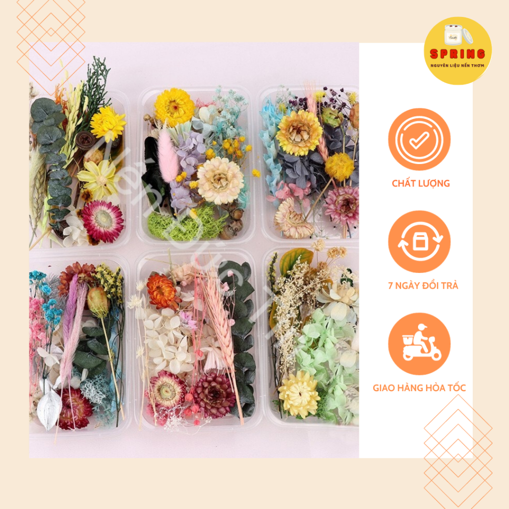 Hộp Hoa Khô Trang Trí SPRING Mix Nhiều Loại Hoa Lá Giá Rẻ - Nguyên Liệu ...