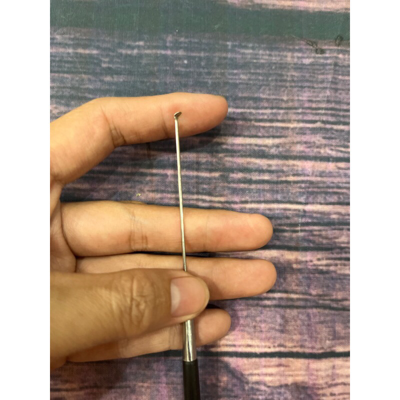 cây móc ráy tai cán đen | Shopee Việt Nam