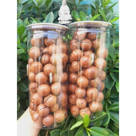 Hộp 500G Hạt macca sấy nứt vỏ, Hạt mắc ca Đắk Lắk ngũ cốc dinh dưỡng 500g size A - MCQ