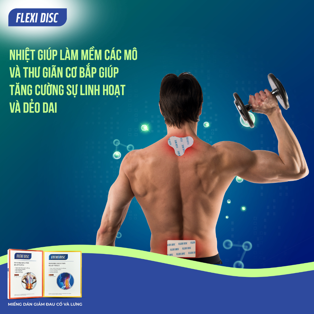 Chất Lượng Miếng Dán Hỗ Trợ Giảm Đau Lưng Flexi Disc