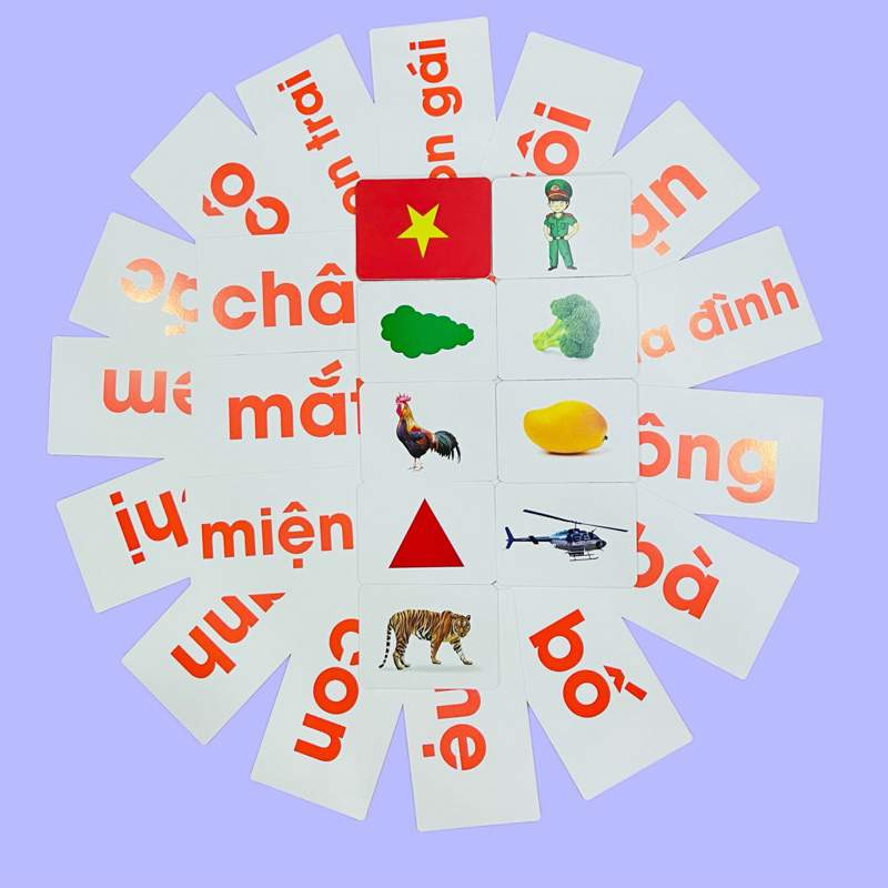 Bộ Thẻ Giáo Dục Sớm Con Thông Minh BABY GLENN DOMAN Gồm Thẻ Màu Và Thẻ Đen Trắng Cho Trẻ Sơ Sinh