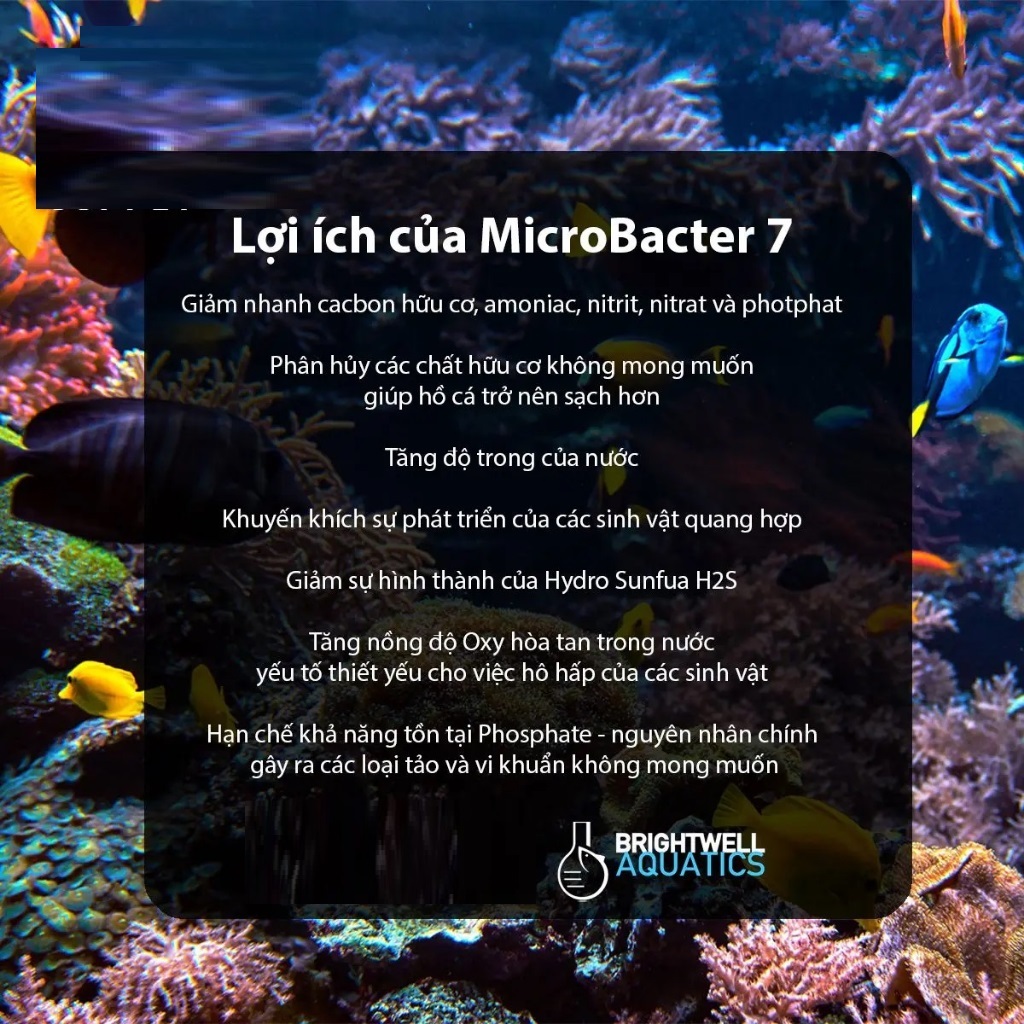 Vi sinh MicroBacter 7, thức ăn vi sinh Reef BioFuel và Vi sinh ...