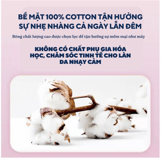 Băng vệ sinh dạng quần SLEEP DAY bịch đại siêu tiết kiệm 30 cái/gói đủ size SM,LXL, XXL cho mọi lứa tuổi