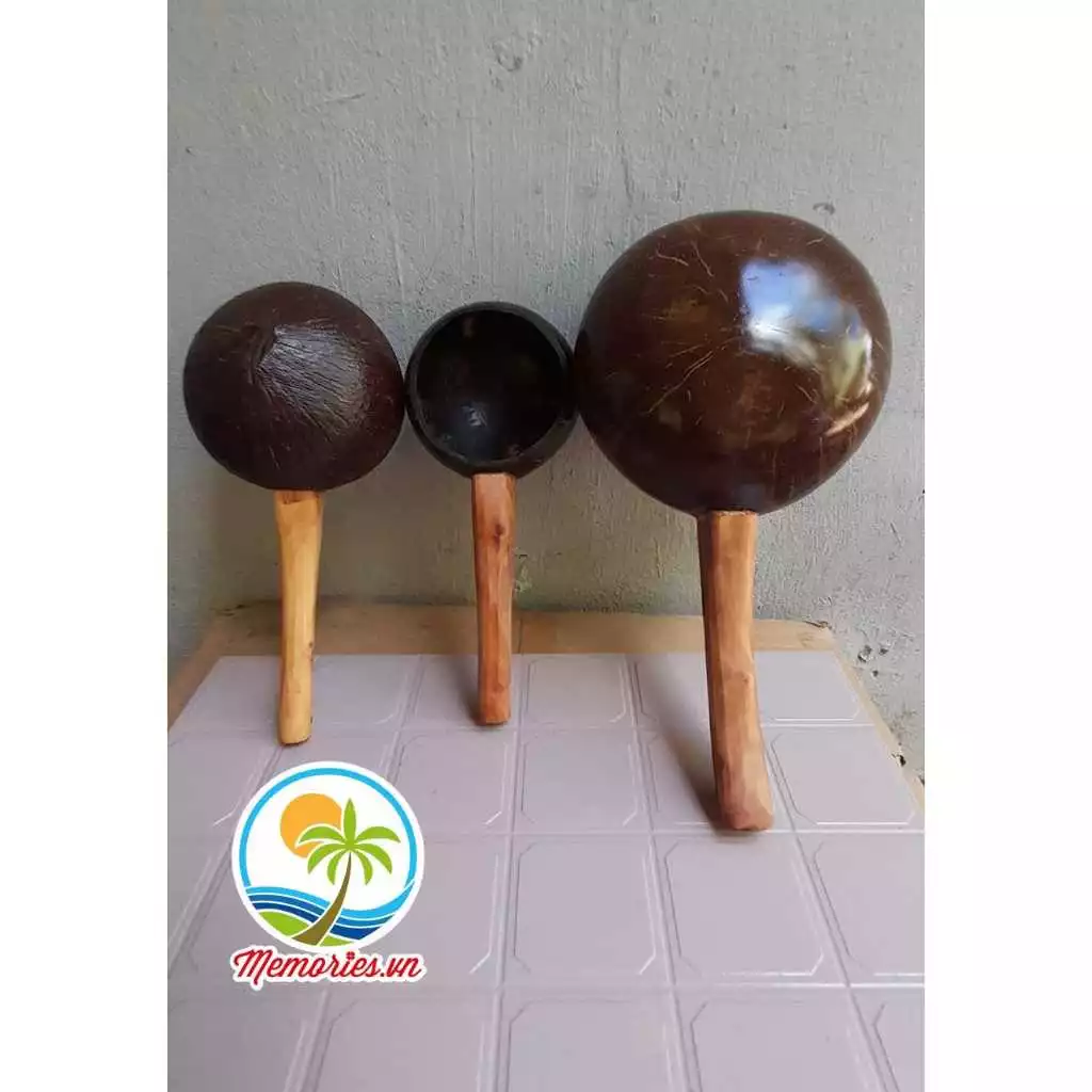 Gáo Dừa Múc Nước, Tưới Cây, Làm Bánh, Gội Đầu Dưỡng Sinh, Spa, Phụ Kiện Chụp Hình, Trang Trí Resort