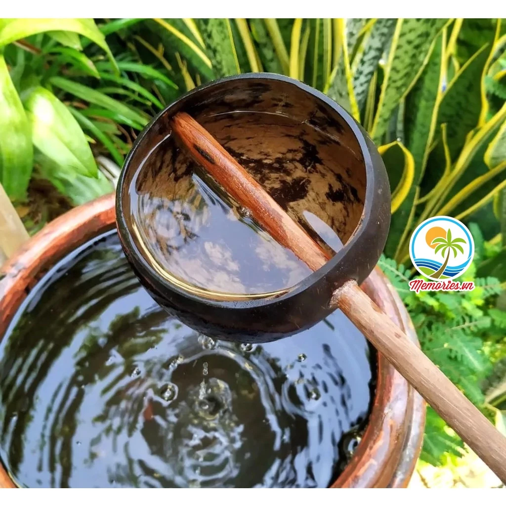 Gáo Dừa Múc Nước, Tưới Cây, Làm Bánh, Gội Đầu Dưỡng Sinh, Spa, Phụ Kiện Chụp Hình, Trang Trí Resort