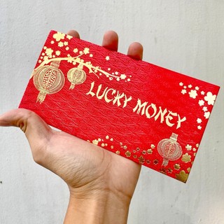 🌸BÁN CHẠY🌸 Combo 10 Bao Lì Xì Tết 2026 Lucky Money Giấy Cao Cấp , Hình Ngựa Vàng Xì Lì Tết lịch sự đẹp mắt trang trọng
