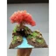 Tiểu cảnh Cây Gỗ Lũa Bonsai bám trên hang đá dành cho bể cá cảnh, bể thủy sinh. Phù hợp với bể cá 25 đến 40 cm