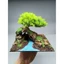 Tiểu cảnh Cây Gỗ Lũa Bonsai bám trên hang đá dành cho bể cá cảnh, bể thủy sinh. Phù hợp với bể cá 25 đến 40 cm