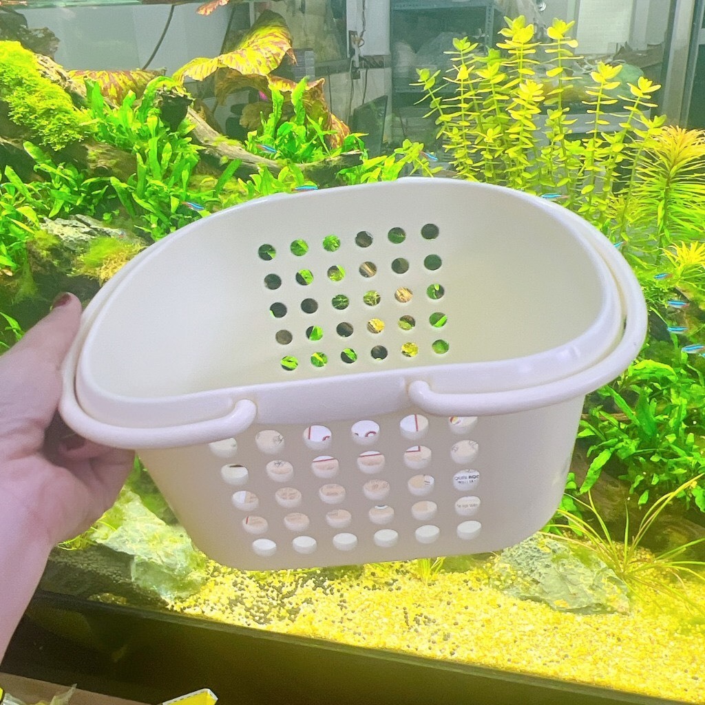 RỔ NHỰA 2 QUAI HOFACO  RQ01( 24 x 18 x 11,5 cm ) Rổ đựng đồ dùng cá nhân