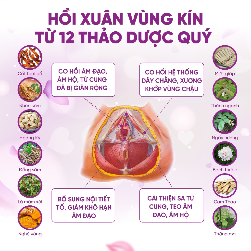 Ảnh Viên uống Zlove cân bằng nội tiết tố nữ, se khít vùng kín, giảm khô hạn ( hộp 50 viên ) 3
