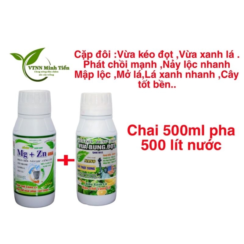 Combo 1 chai mg kẽm+ 1 chai vua bung đọt
