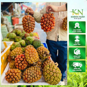 Quả Dứa Dại Rừng Xanh Tươi 1kg( To đẹp-hút chân không)