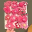 Sét 5 dây buộc tóc LÔNG Gấu Dâu Lotso Cho Bé