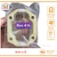 Ron 4 lỗ xe máy Dream/Wave hàng Indo 2 mặt vàng xanh THÙY LINH TOOLS