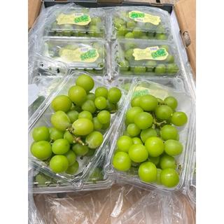 [ SALE SALE ]  Nho xanh   hộp 450gr bán rẻ chạy chương tương tác