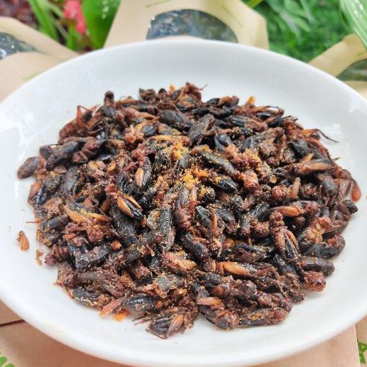 [SỈ TOÀN QUỐC] Dế Sữa Rang Muối Ăn Liền 3 Vị - Hồng Kông, Wasabi, Tom Yum - Món Ăn - Hoa Mặt Trời Farm