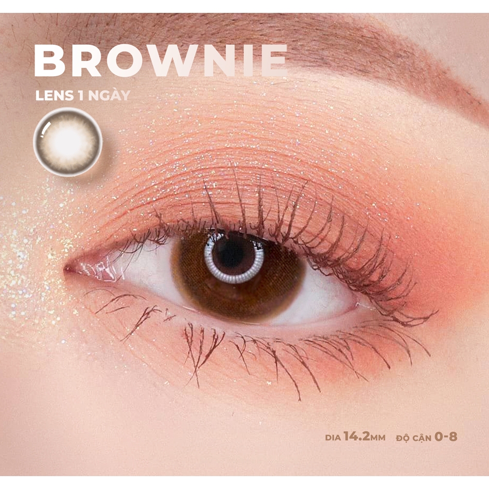 Ảnh Lens 1 ngày màu có độ cận gồm 2 màu nâu & xám siêu ẩm nhãn hiệu Angel Eyes Hàn Quốc - Đường kính 14.2mm - Độ cận 0-8 2