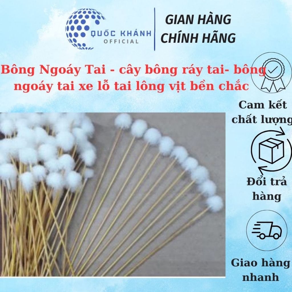 Mười Bông Ngoáy Tai - cây bông ráy tai- bông ngoáy tai xe lỗ tai lông ...