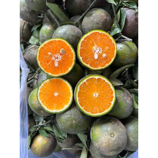 KING ORANGE
