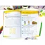 Sách - Đề Kiểm Tra Toán 2 - Biên soạn theo CT GDPT mới - Kết Nối - ndbooks