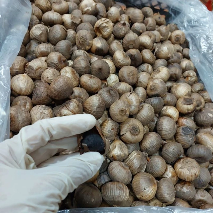 500gam tỏi đen cô đơn