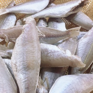 Khô cá đổng ít xương, dày thịt, thơm ngon, bỗ dưỡng cho mỗi bữa cơm, đảm bảo an toàn thực phẩm