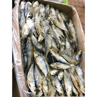 Cá trích khô MẶN, NGUYÊN CON, KO LỘT VỎ, thịt dày, ít xương, ngon rẻ, đặc sản Phú Yên