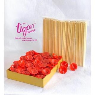 10 Combo CHỤP TRÁI CÂY+QUE TRE gắn trái cây - Chắc chắn, tiện lợi, dễ sử dụng màu ngẫu nhiên