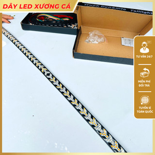 Đen led xương cá nhiều chế độ dùng chung điện 12v và 24v