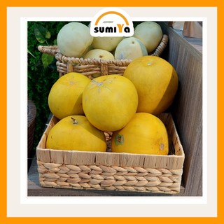 Sọt lục bình, khay lục bình đa năng dùng để trang trí nội thất, để quần áo, để đồ chơi