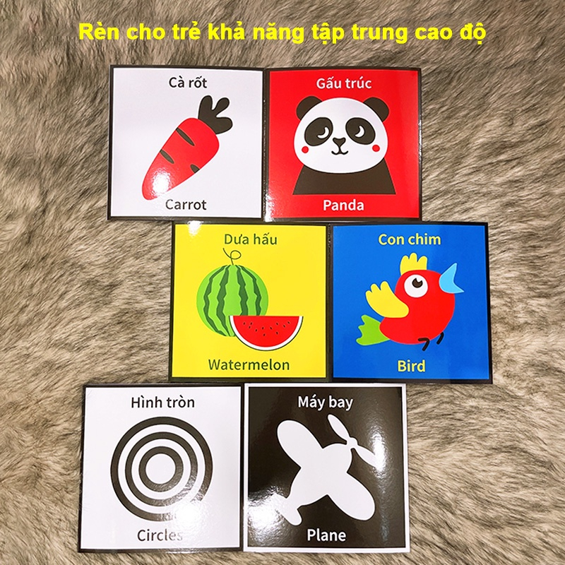 Ảnh Sách - Flash Card Kích Thích Thị Giác cho trẻ sơ sinh - bản Zic Zắc 40 hình, kích thước 21cm x 21cm. 2