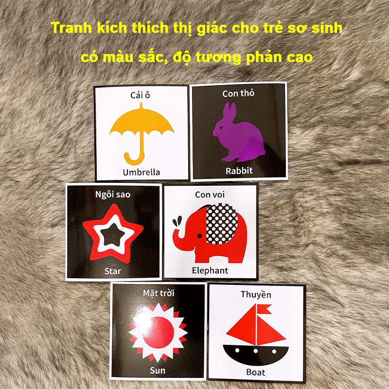 Ảnh Sách - Flash Card Kích Thích Thị Giác cho trẻ sơ sinh - bản Zic Zắc 40 hình, kích thước 21cm x 21cm. 3