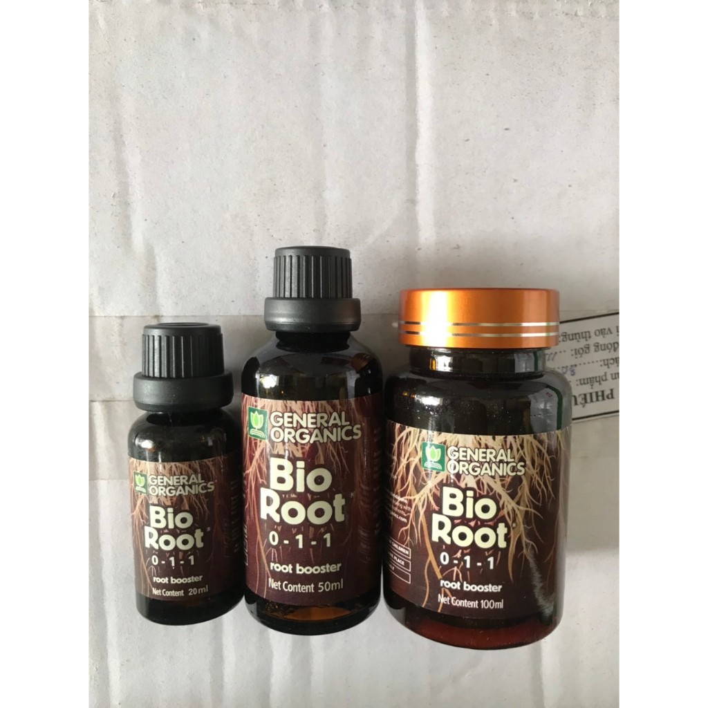 ph-n-b-n-h-u-c-k-ch-r-bio-root-0-1-1-h-ng-nh-p-kh-u-m-general