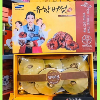 Nấm Linh Chi Vàng Chanh Hộp Quà Cao Cấp Hàn Quốc, Làm giảm quá trình lão hóa, Tăng cường hệ miễn dịch và bảo vệ gan