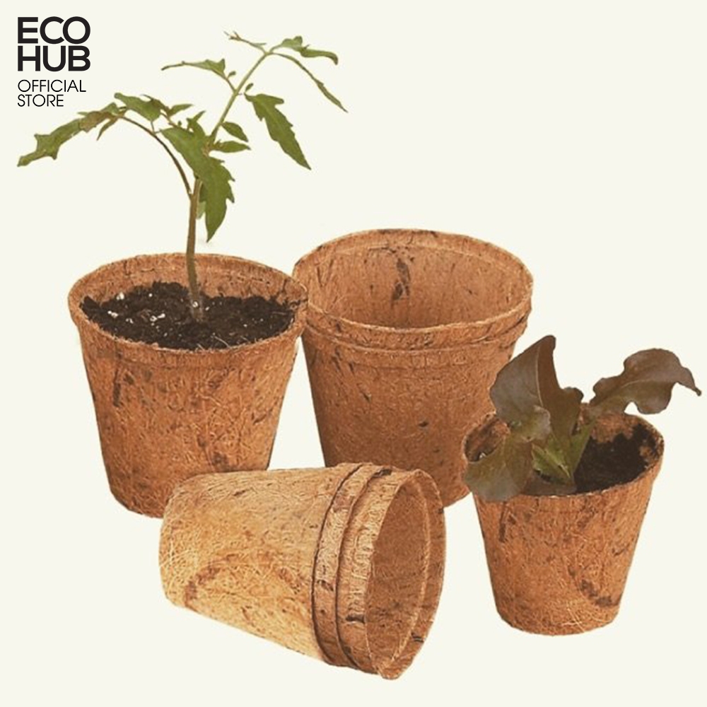Chậu Cây Cảnh Trồng Cây ECOHUB dùng làm chậu trồng rau sen đá treo ban ...