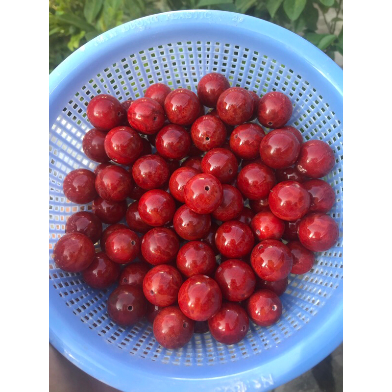 5 hạt san hô đỏ nhiều size