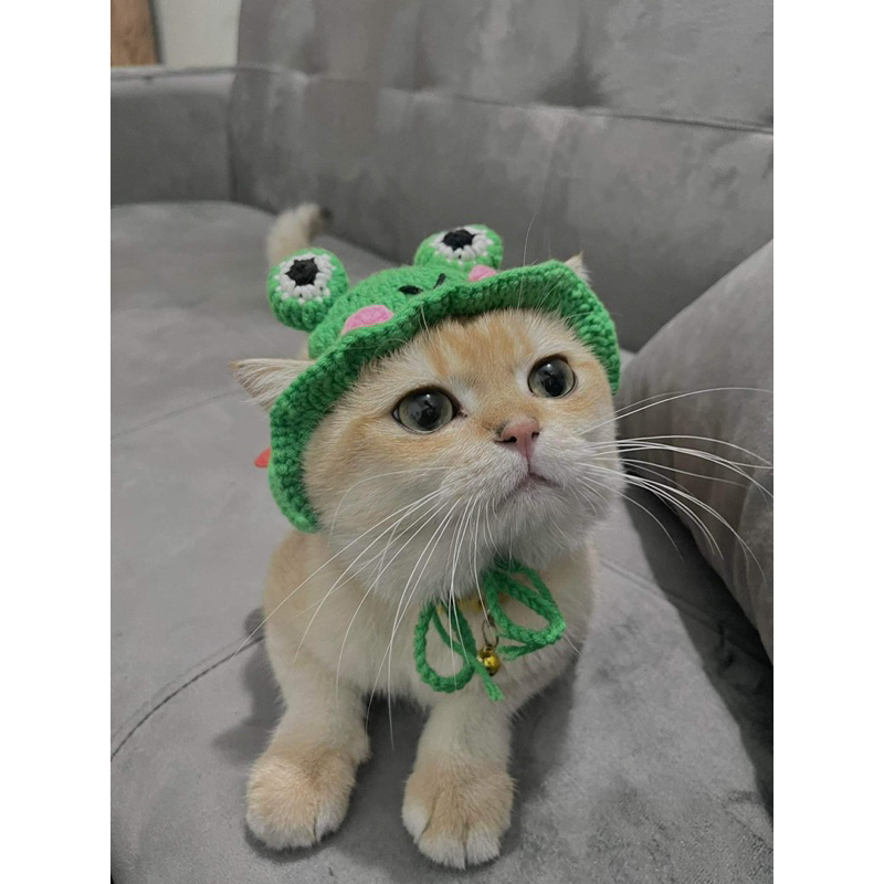 Mũ nón ếch len handmade cho chó mèo thú cưng có size | Shopee Việt Nam