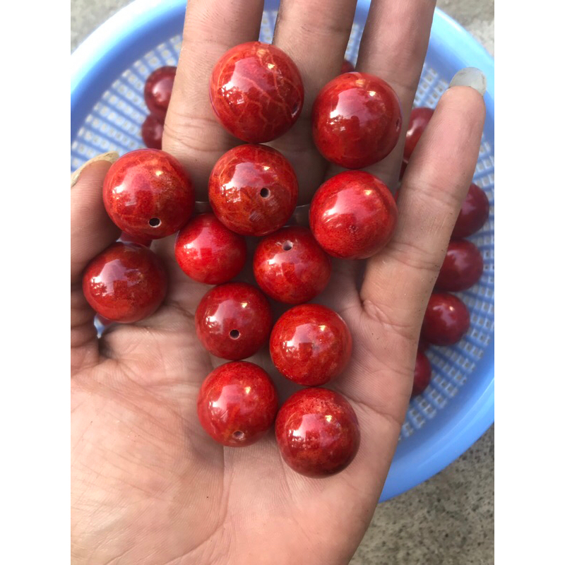 5 hạt san hô đỏ nhiều size
