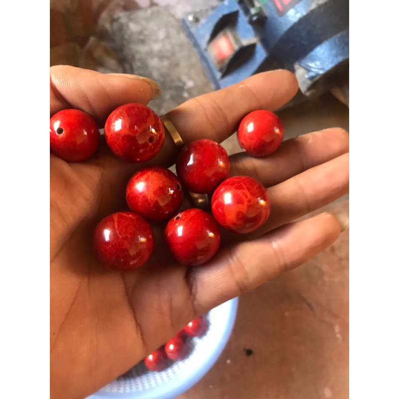 5 hạt san hô đỏ nhiều size