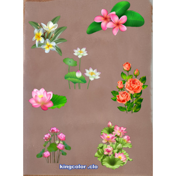 HÌNH ỦI ÉP NHỆT-HÌNH HOA SEN-IN ỦI TRỰC TIẾP lên áo TẠI NHÀ BẰNG BÀN LÀ BÀN ỦI RẤT ĐẸP-DÍNH CHẮC-GÍA KHUYẾN MÃI-.Lucky