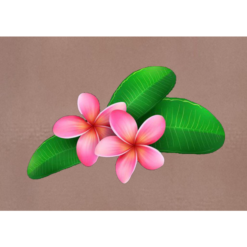 HÌNH ỦI ÉP NHỆT-HÌNH HOA SEN-IN ỦI TRỰC TIẾP lên áo TẠI NHÀ BẰNG BÀN LÀ BÀN ỦI RẤT ĐẸP-DÍNH CHẮC-GÍA KHUYẾN MÃI-.Lucky