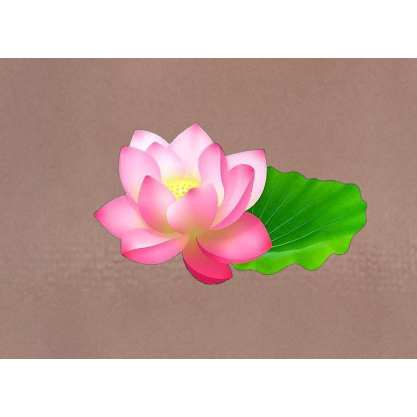 HÌNH ỦI ÉP NHỆT-HÌNH HOA SEN-IN ỦI TRỰC TIẾP lên áo TẠI NHÀ BẰNG BÀN LÀ BÀN ỦI RẤT ĐẸP-DÍNH CHẮC-GÍA KHUYẾN MÃI-.Lucky